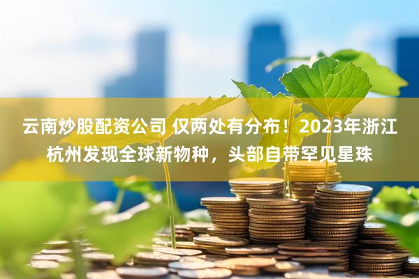 云南炒股配资公司 仅两处有分布！2023年浙江杭州发现全球新物种，头部自带罕见星珠